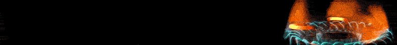 spot_img
