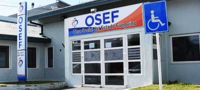 OSEF-800x360